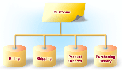 Hierarchical database: Order works its way down: 1) Billing, 2) Shipping, 3) Product Ordered, 4) Purchasing History